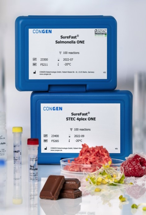 Diagnostický test real-rime PCR, detekcia Salmonely v potravinách